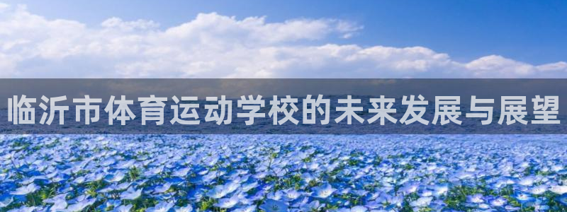 3377体育官方正版app集团简介：临沂市体育运动学