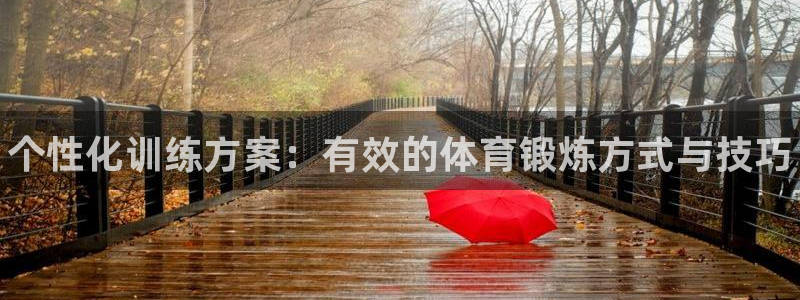 3377体育官方正版app代理：个性化训练方案：有效