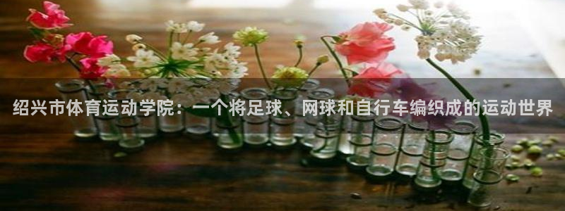 3377体育官网下载平台：绍兴市体育运动学院：一个将