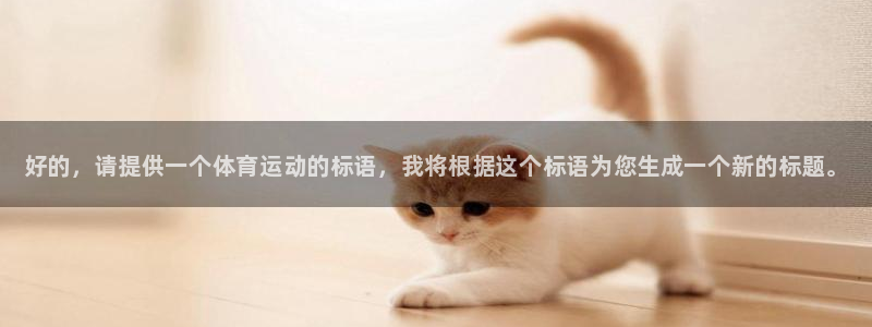3377体育官网下载联系电话：好的，请提供一个体育运