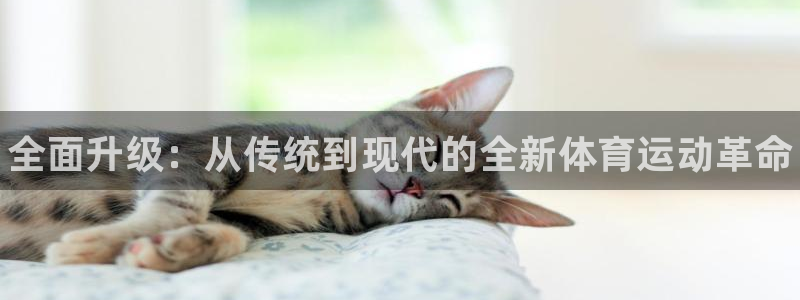 3377体育官方正版app娱乐平台：全面升级：从传统