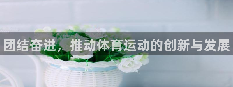 3377体育官方正版app官网：团结奋进，推动体育运