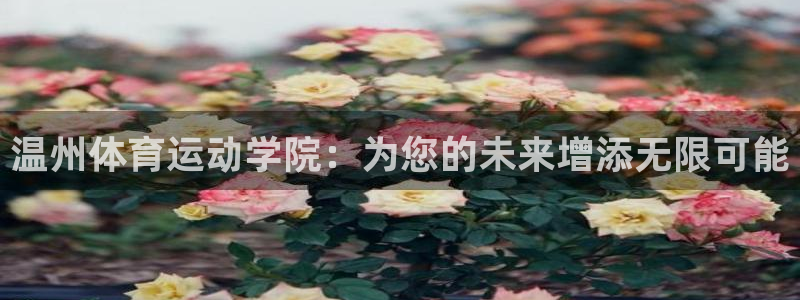 3377体育官网下载平台注册流程图：温州体育运动学院