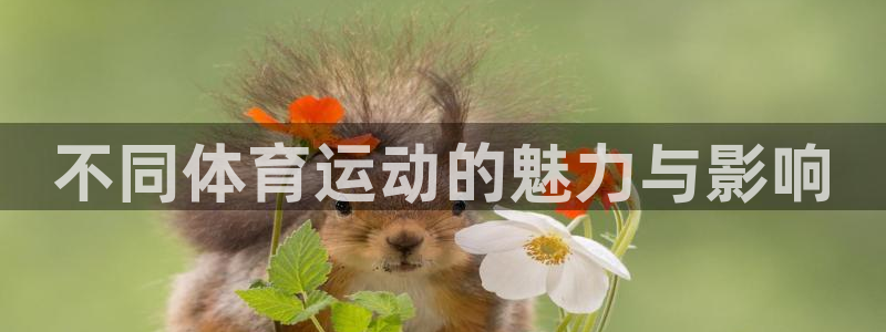 3377体育官网下载平台APP：不同体育运动的魅力与