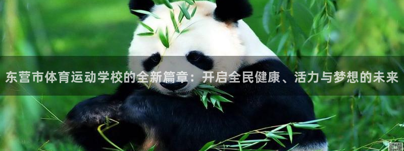 3377体育官网下载平台注册要钱吗安全吗：东营市体育