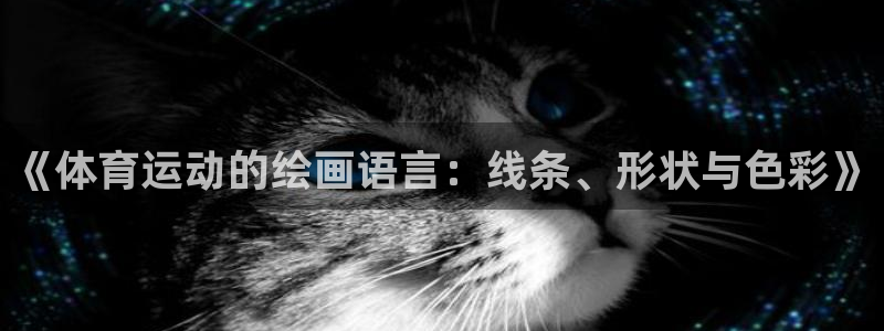 3377体育官网下载平台注册流程图：《体育运动的绘画