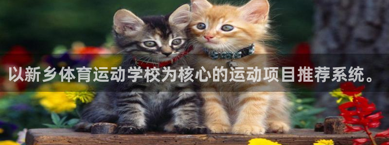 3377体育官网下载平台注册要钱吗安全吗：以新乡体育运动学校