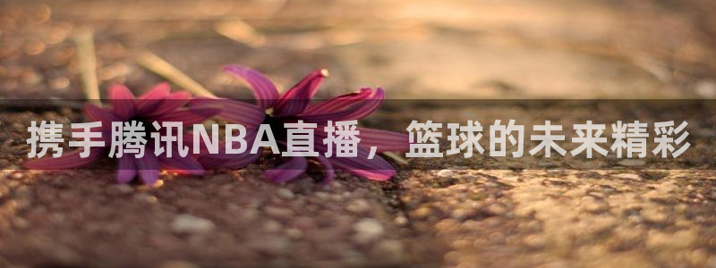 小九直播nba免费观看高清