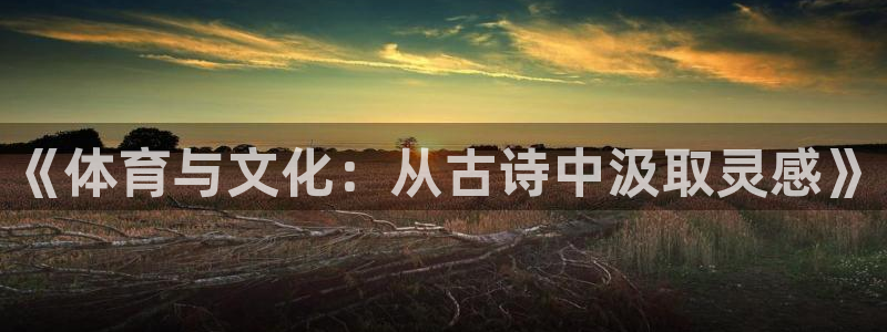 3377体育被国家取消了吗今天：《体育与文化：从古诗中汲取灵