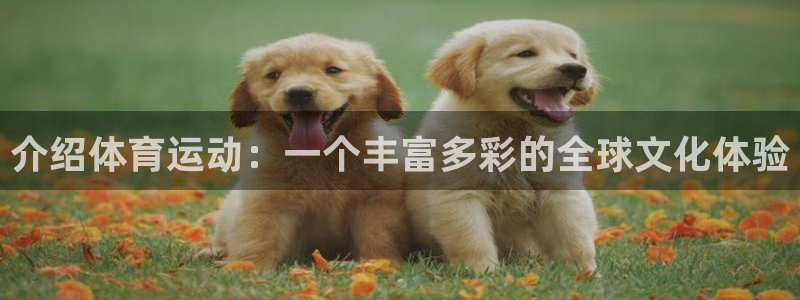 3377体育：介绍体育运动：一个丰富