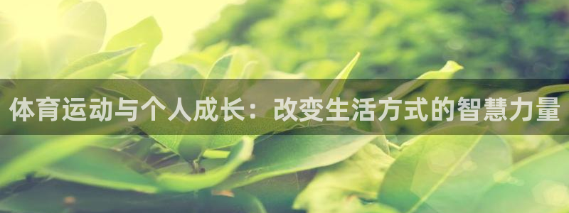 3377体育十大必吃榜：体育运动与个