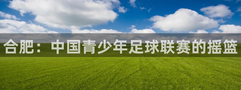 3377体育为什么提不出来：合肥：中