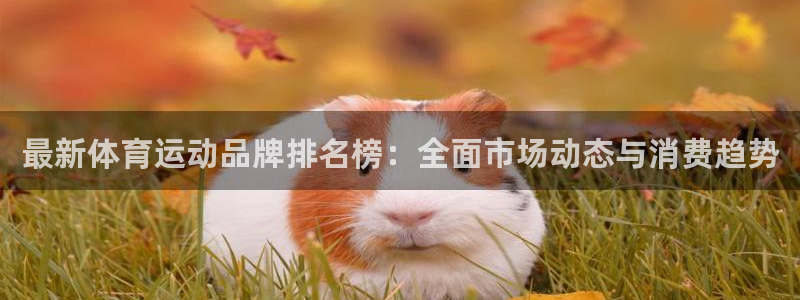  3377体育app属不属于病毒应用：最新体育运动品牌排名榜：