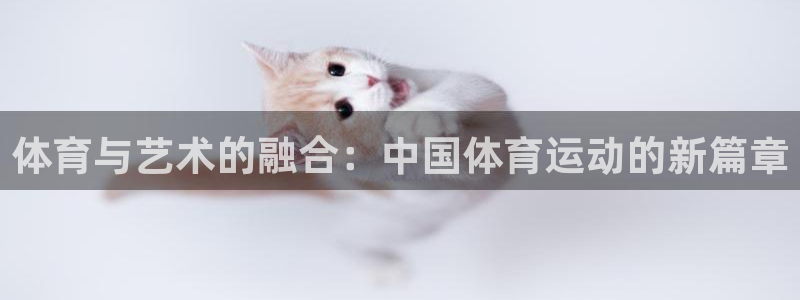  3377体育唯一官方网站：体育与艺术的融合：中国体育运动的新