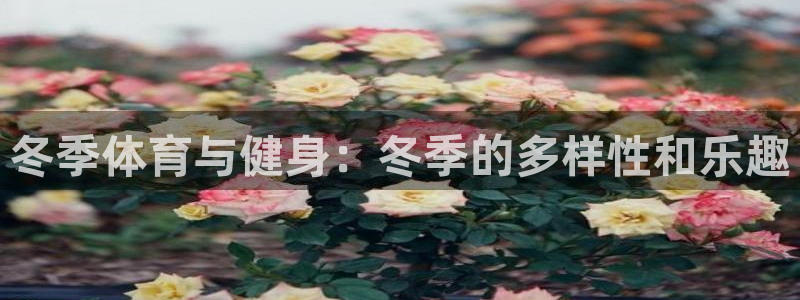 3377体育最厉害三个平台：冬季体育