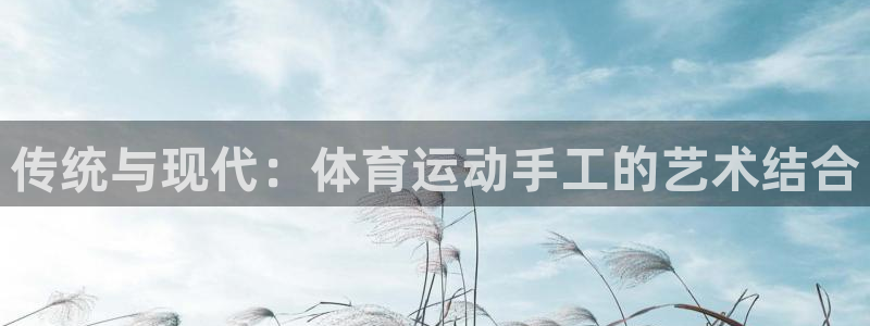 3377体育是什么：传统与现代：体育运动手工的艺术结合