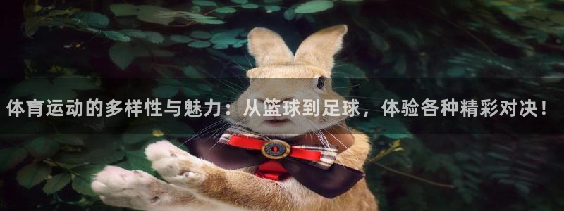  3377体育被国家取消了吗现在：体育运动的多样性与魅力：从篮