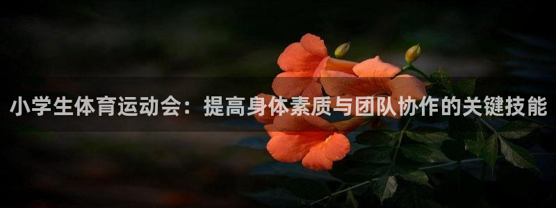  3377体育游戏：小学生体育运动会：提高身体素质与团队协作的