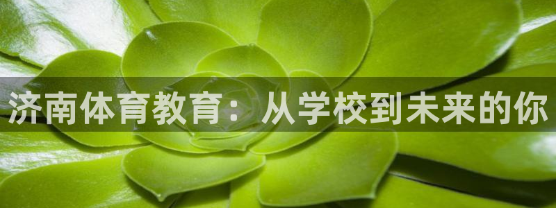 3377体育被国家取消了吗：济南体育