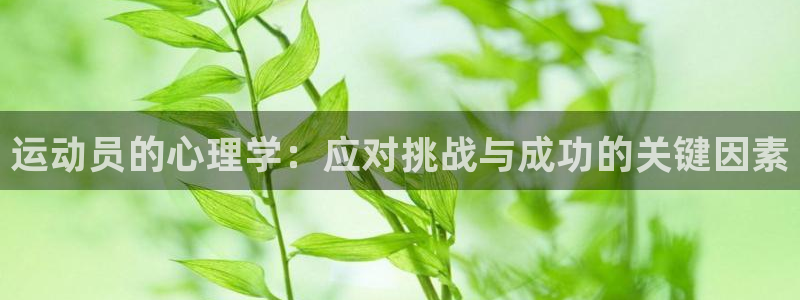  3377体育被国家取消了吗今天：运动员的心理学：应对挑战与成