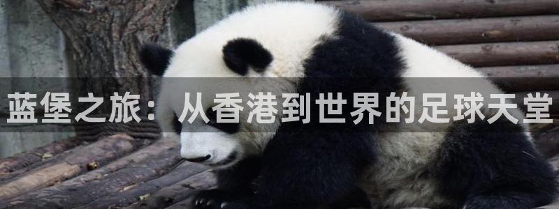3377体育官方集团官网：蓝堡之旅：从香港到世界的足