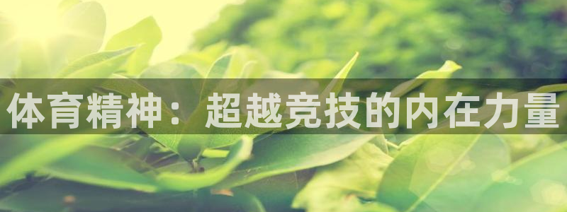 3377体育官方正版app新能源