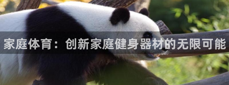 3377体育官网下载平台假的吗是真的吗：家庭体育：创新家庭健