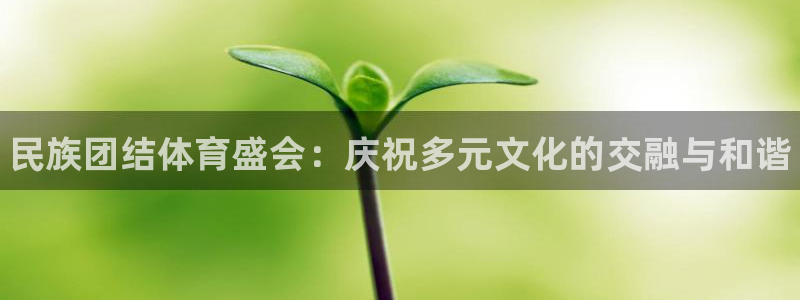 3377体育官网下载联系电话：民族团结体育盛会：庆祝多元文化
