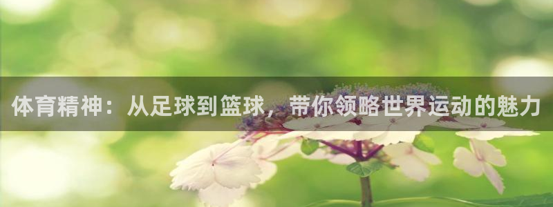 3377体育官方正版app娱乐40996：体育精神：从足球到