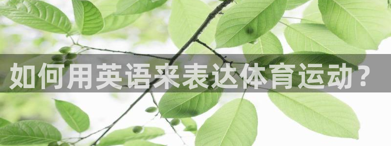 3377体育官网下载平台注册要钱吗是真的吗：如何用英语来表达