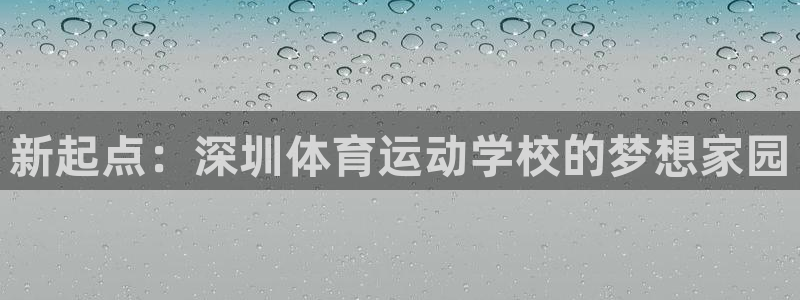 3377体育官方正版app五金厂：新起点：深圳体育运动学校的