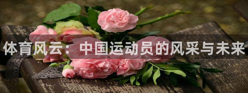 3377体育官方正版app集团官网网址：体育风云：中